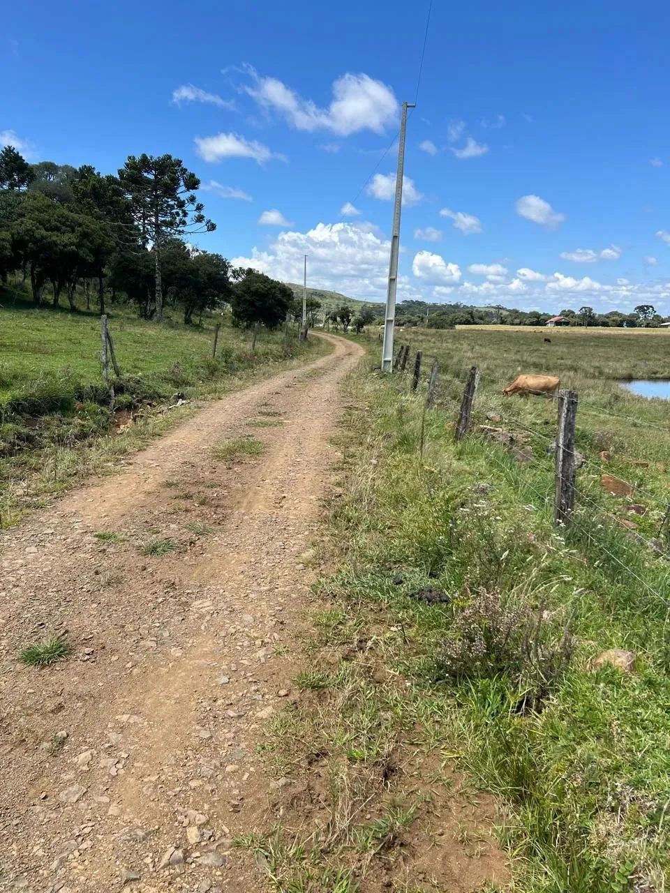 Terreno com ótimo acesso, energia elétrica instalada e desconto de 15% à vista - Foto 3