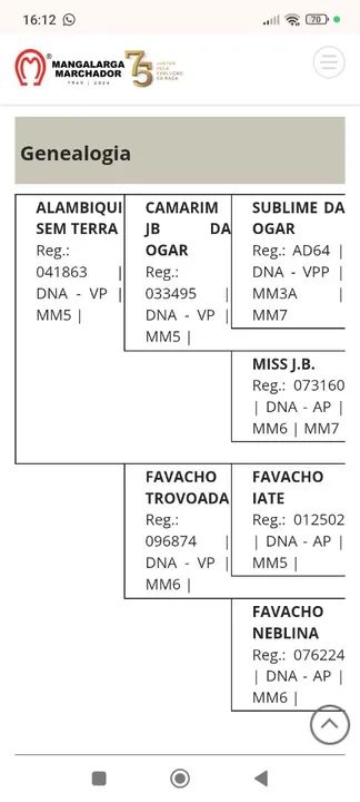 Égua PAMPA CASTANHA, A VENDA. - Foto 6