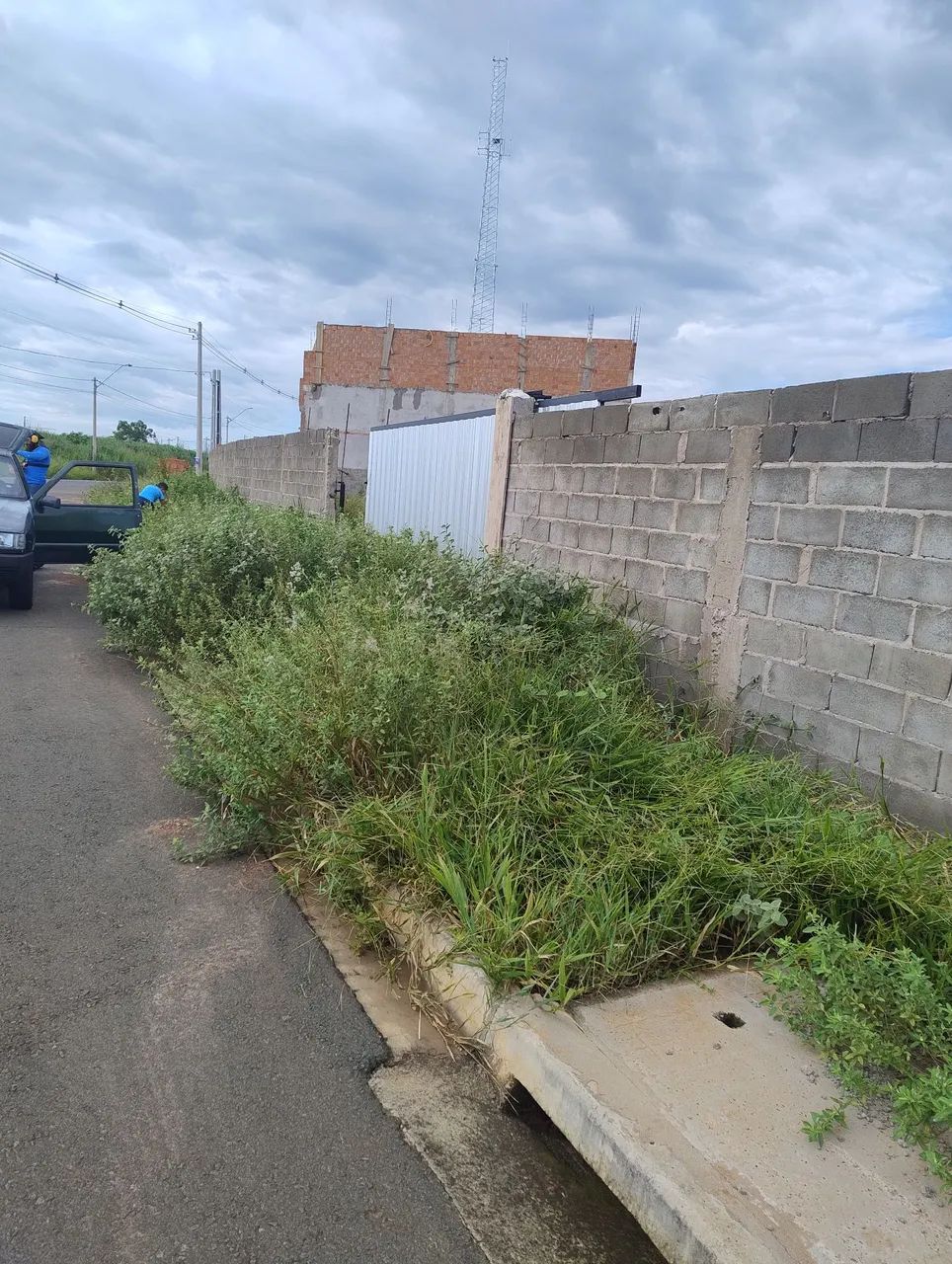 Limpeza de jardinagem  - Foto 3