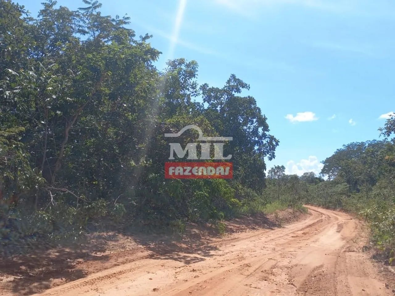 Fazenda de 146.5 Alqueires (708 ha) Mun Pontal do Araguaia - Foto 5