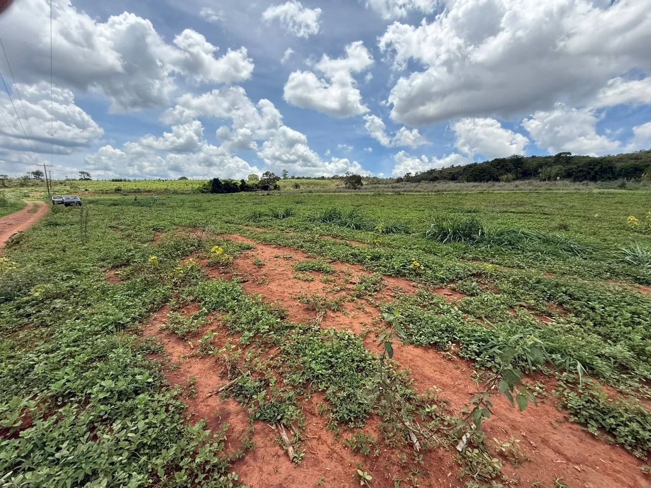 Terreno de 20 mil metros com casinha simples  - Foto 2