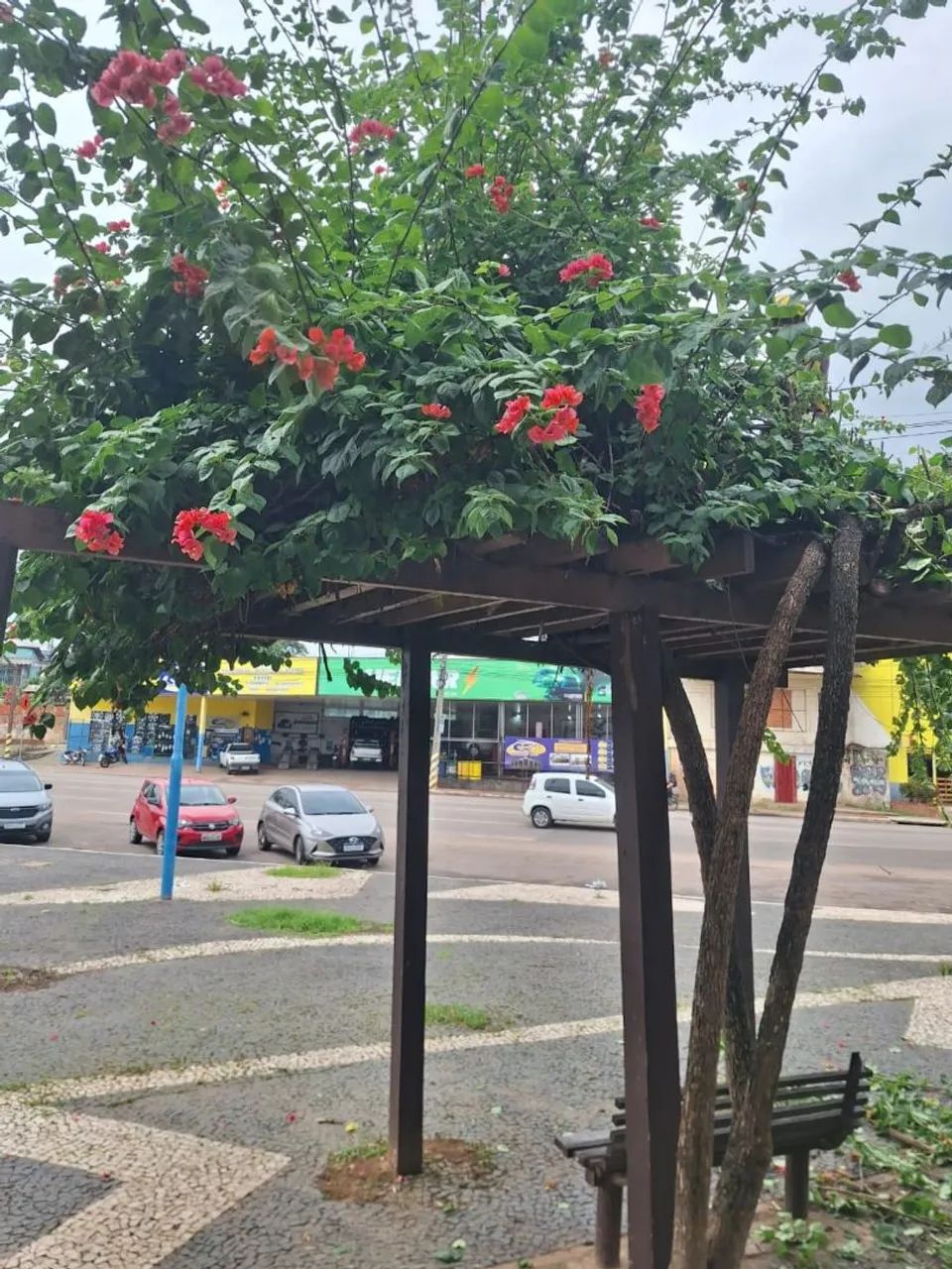 Serviço Gerais - Foto 3