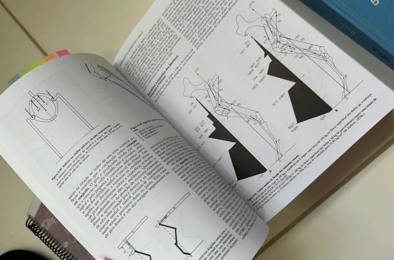 Anatomia dos animais - Foto 3