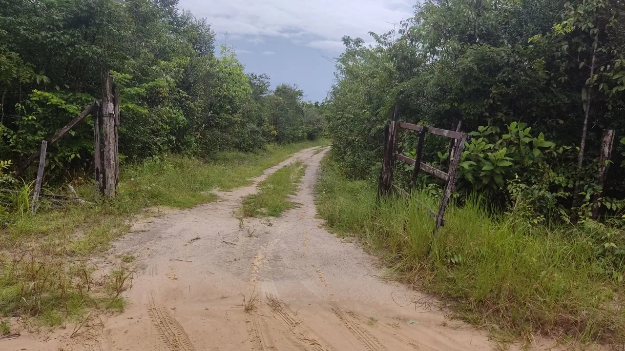 VENDO 2 SITIOS EM SALINÓPOLIS - PARÁ