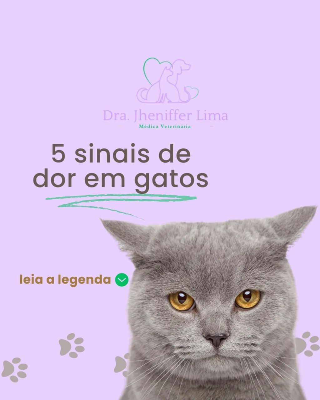 Editora de posts Instagram  - Foto 3