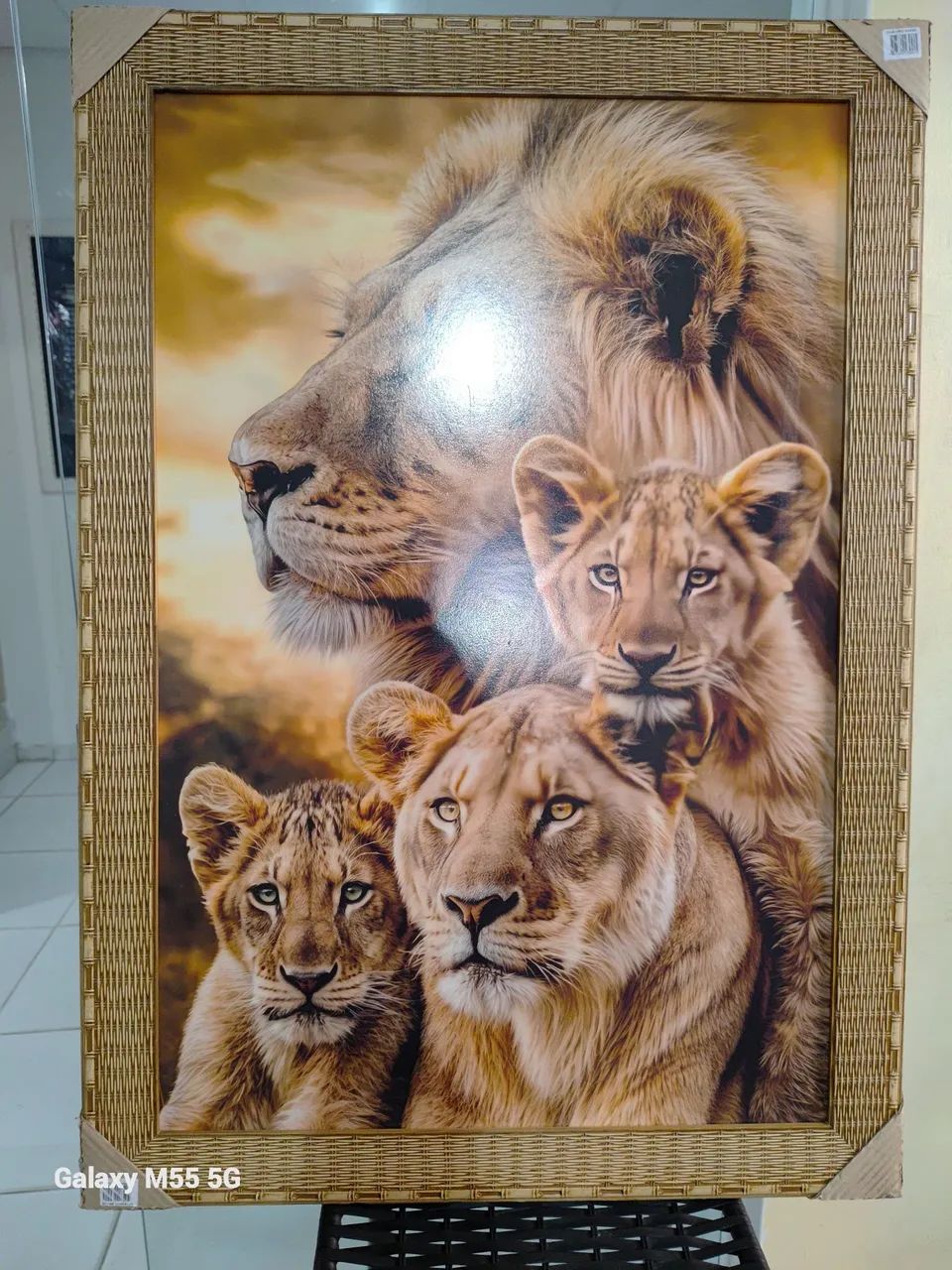 Lindos quadros 60x90