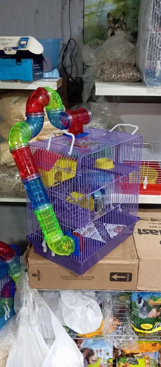 Gaiola Hamster _ a pronta entrega - Foto 3