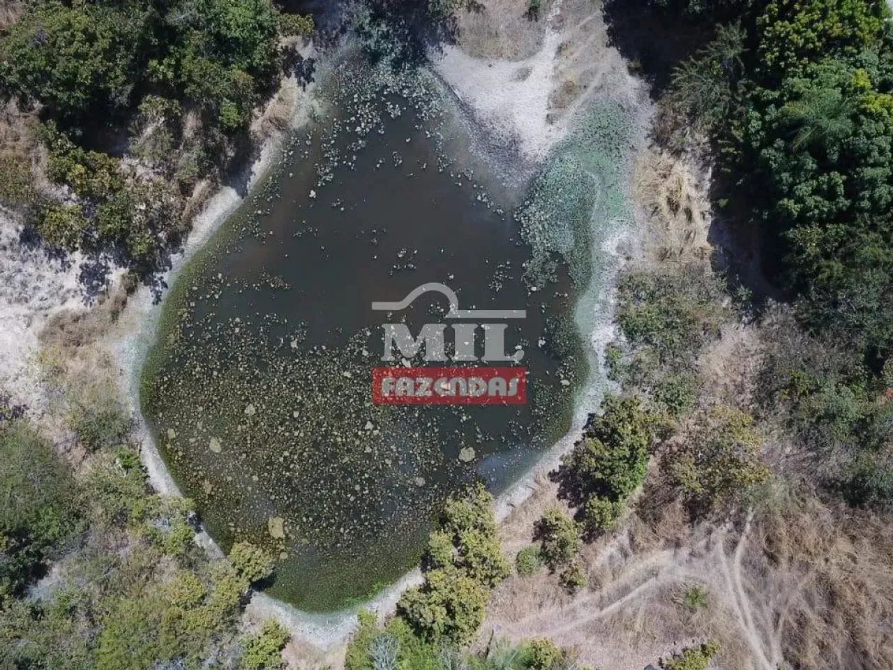 Fazenda 45 alqueires (217,8 hectares) Araguapaz - Go - Foto 4