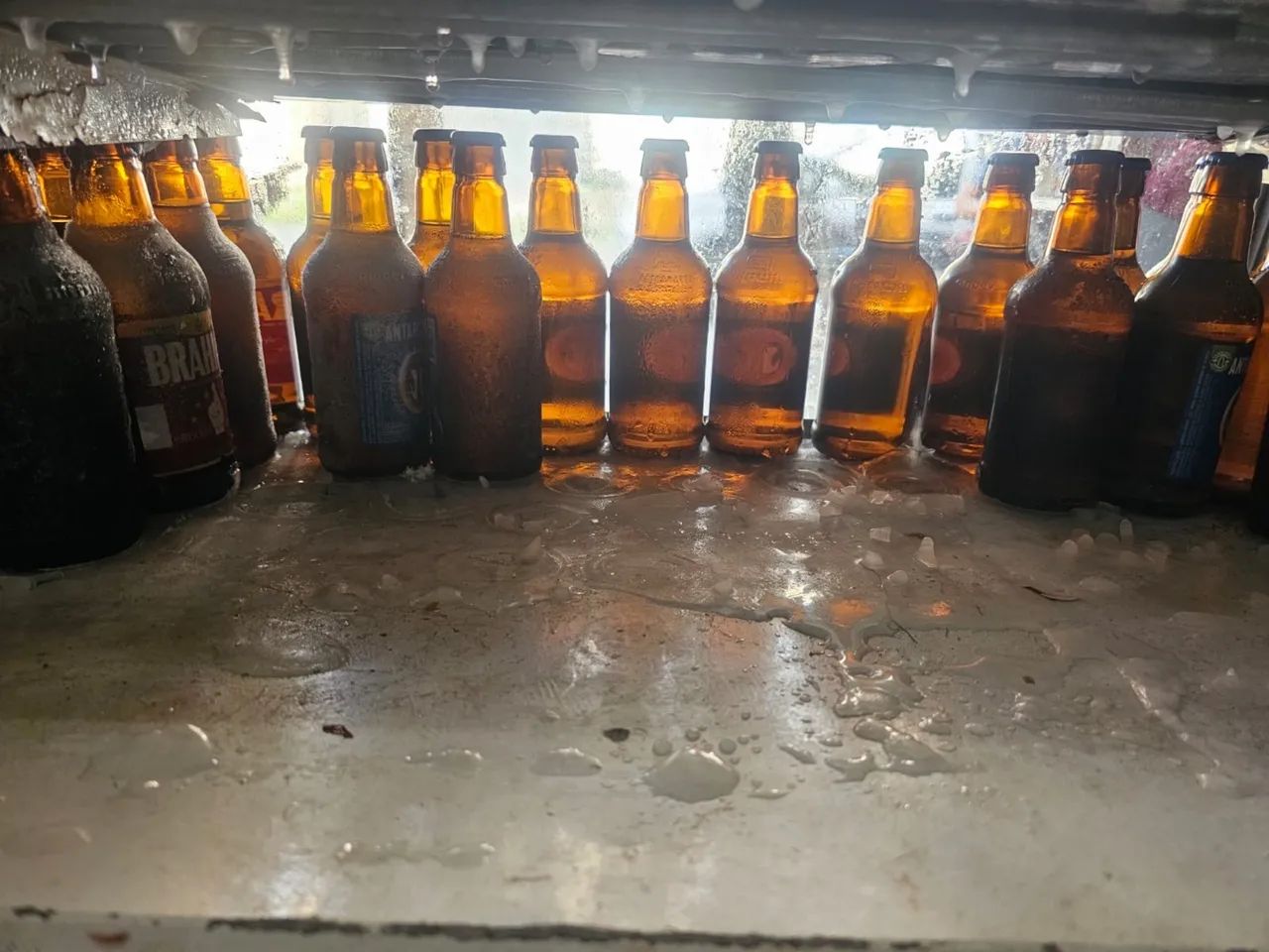 Freezer Expositor - Ótimo para Comércio