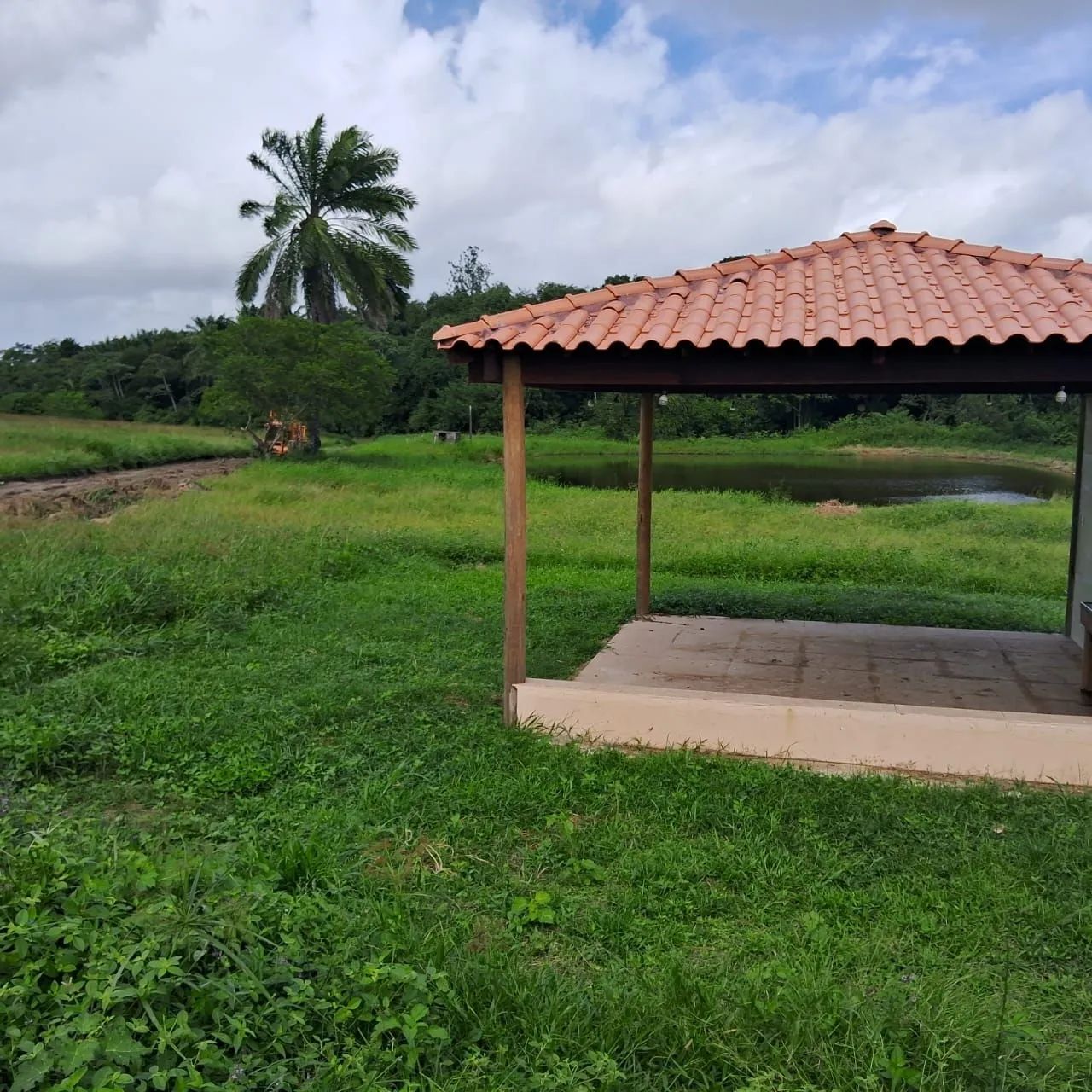 Vendo área na BR 324 - Foto 2