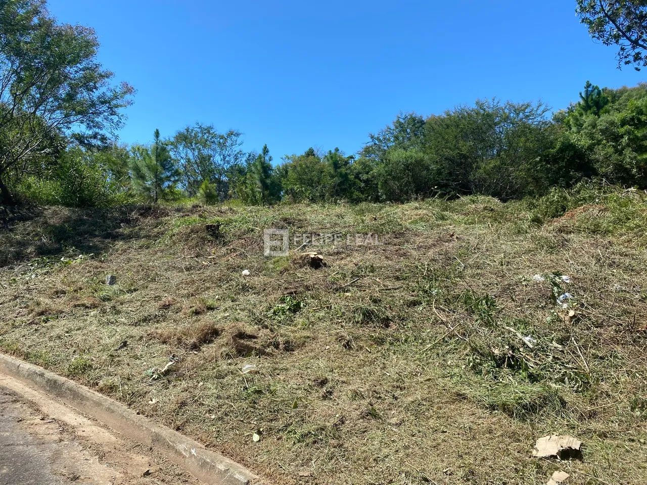 Lote / Terreno em Roçado - São José, SC - Foto 2