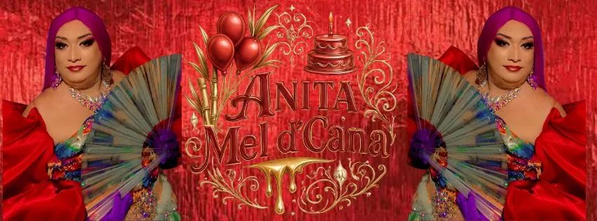 Animadora de Festas Anita Mel d'Cana  - Foto 2