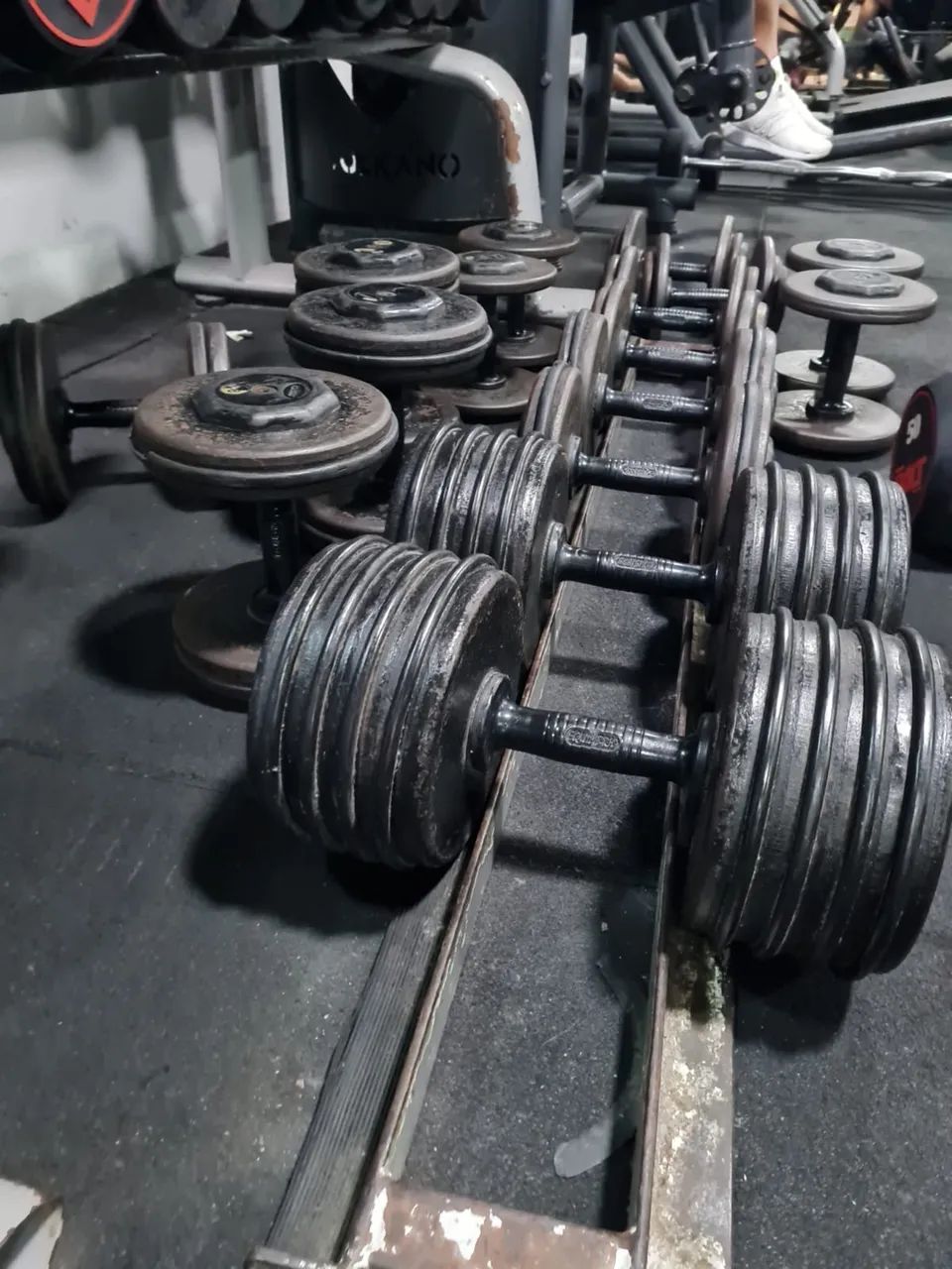 Halter 50kg - Foto 3