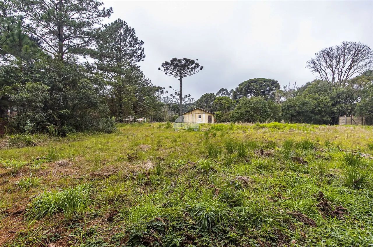 Vendas Área Piraquara PR - Foto 5