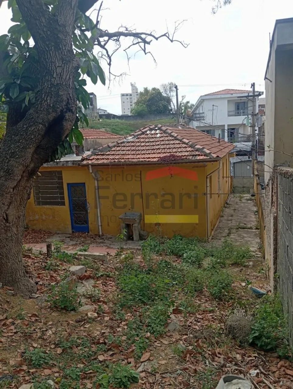 Terreno no Imirim - Foto 3