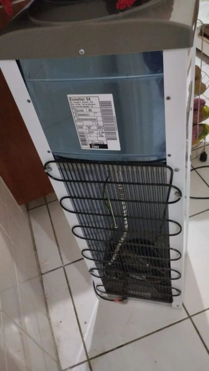 Gelagua de pé  - Foto 2
