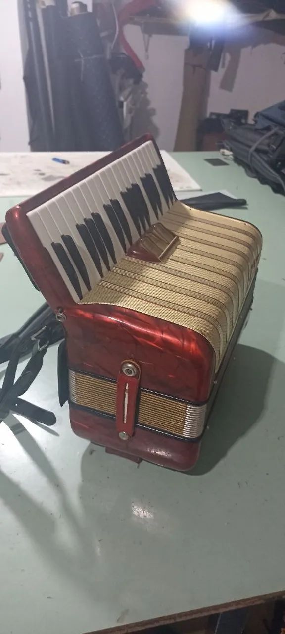 Acordeon/ Sanfona 48bx  - Foto 2