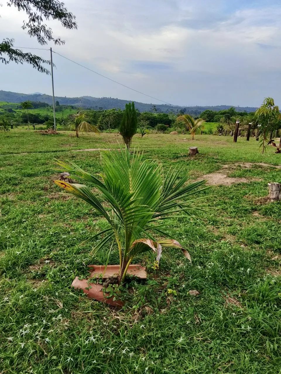 Foto - Parauapebas - 
