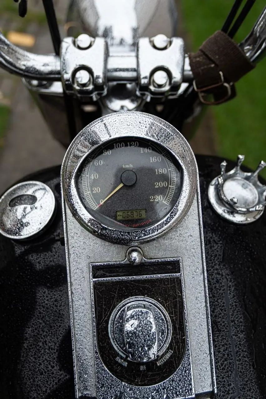 HARLEY DAVIDSON - FAT BOY 2009  - Foto 5