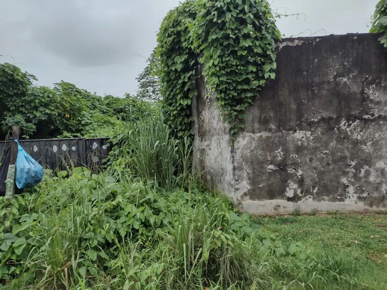 Vendo Terreno murado com 1.960m² no Tapanã - Foto 3