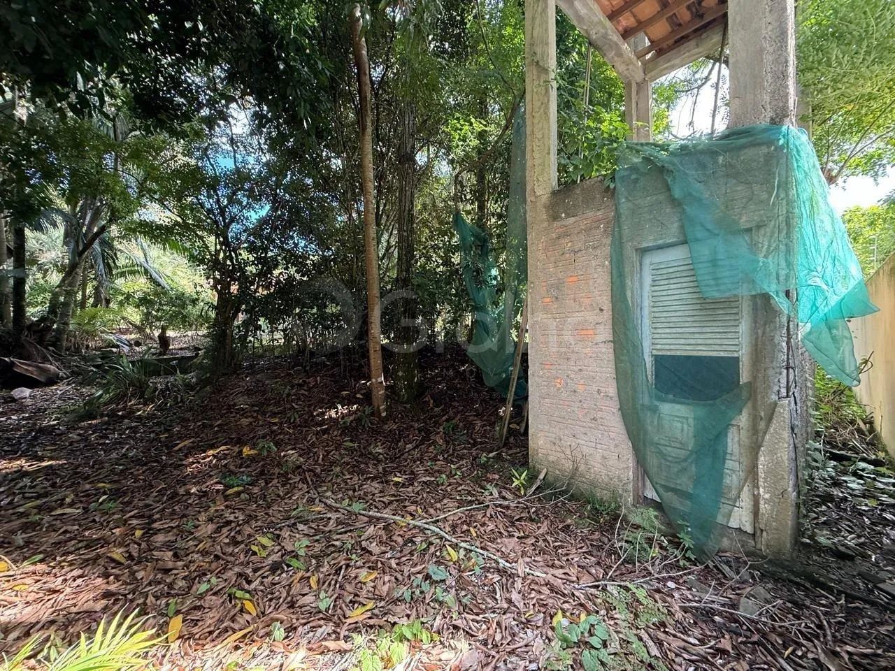 Terreno de 12.804,83m² no Monte Verde - Foto 4