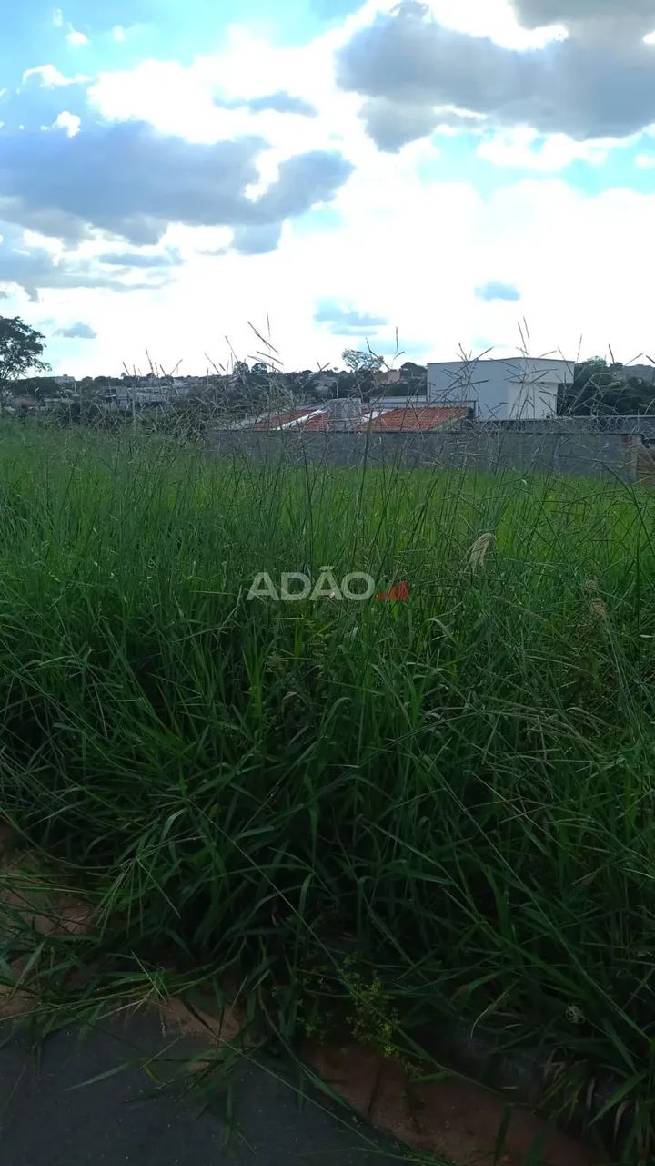 LOTEAMENTO AGROPOLE - Foto 3