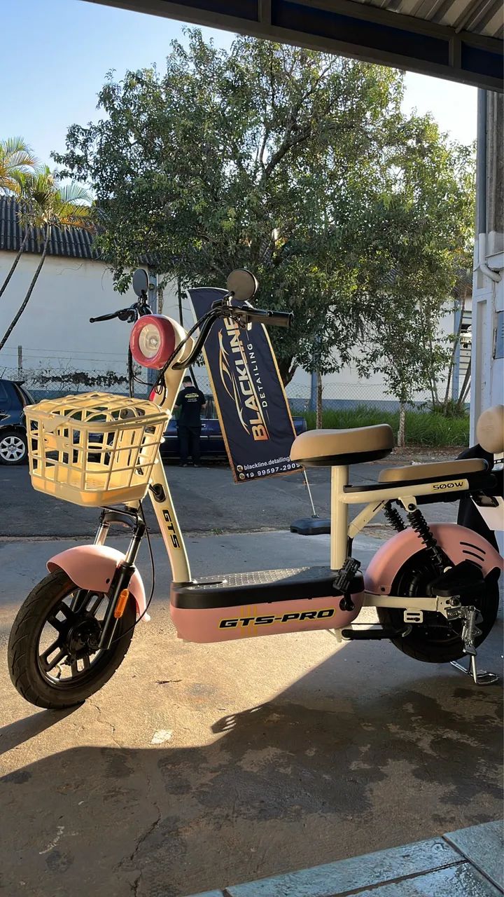 Scooter elétrica GTS pro 500W 