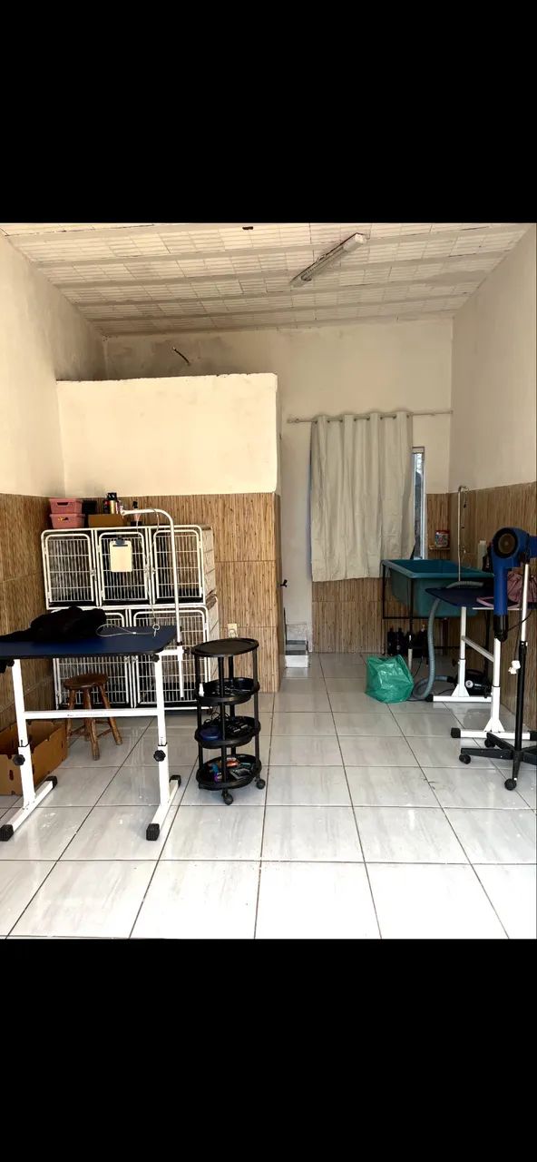 Materiais para banho e tosa ( pet shop)