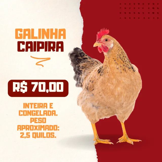 Carvão, ovos e galinha caipira - Foto 2