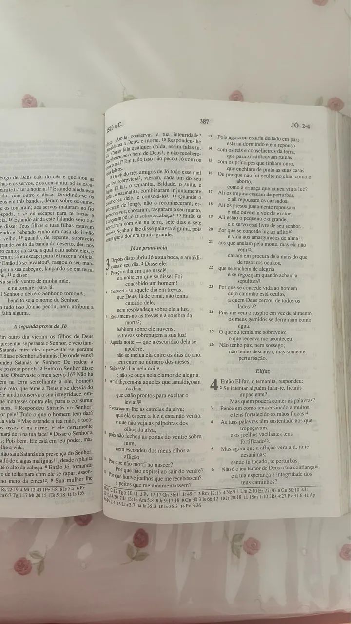 Bíblia alfalit 1996 - Foto 5