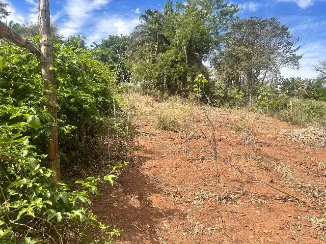 Oportunidade única  - Foto 5