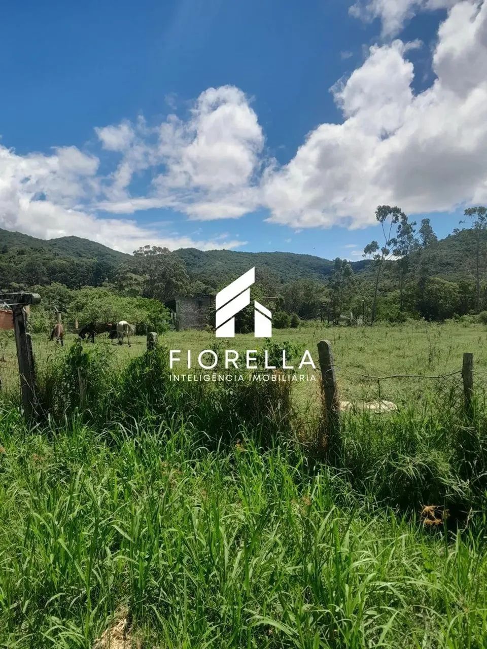 Sítio com 5.280 m² em Ratones - SC - Foto 2