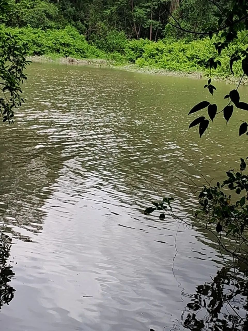Vendo um excelente terreno  - Foto 2