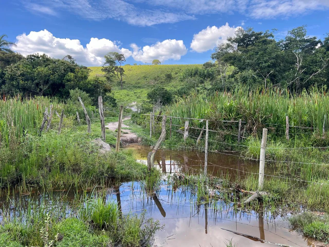 Chácaras de 2.000m2  - Foto 5