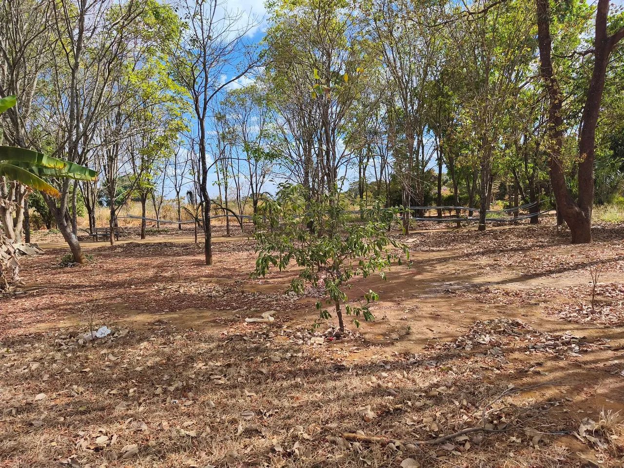 Lote de chácara Planaltina  - Foto 4