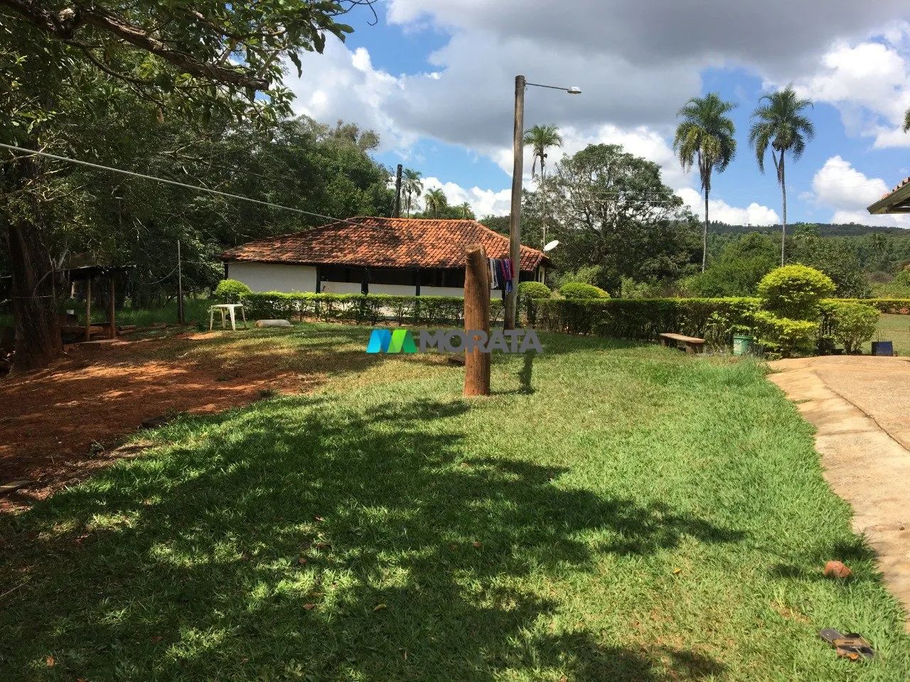 FAZENDA À VENDA - 710 HECTARES - CURVELO (MG) - Foto 4