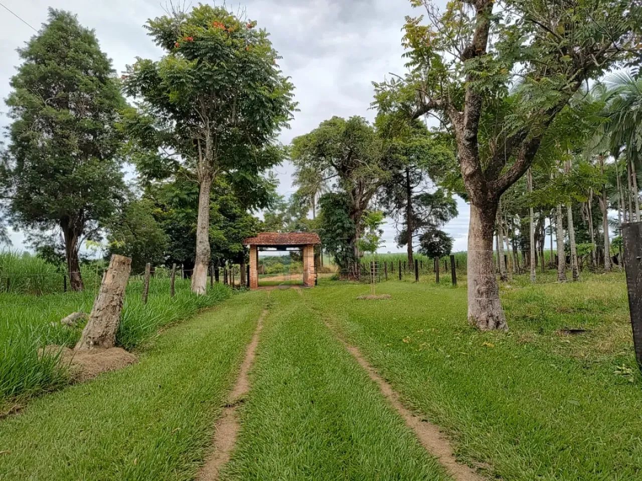 EXCELENTE SÍTIO EM SANTA RITA PASSA QUATRO - Foto 2