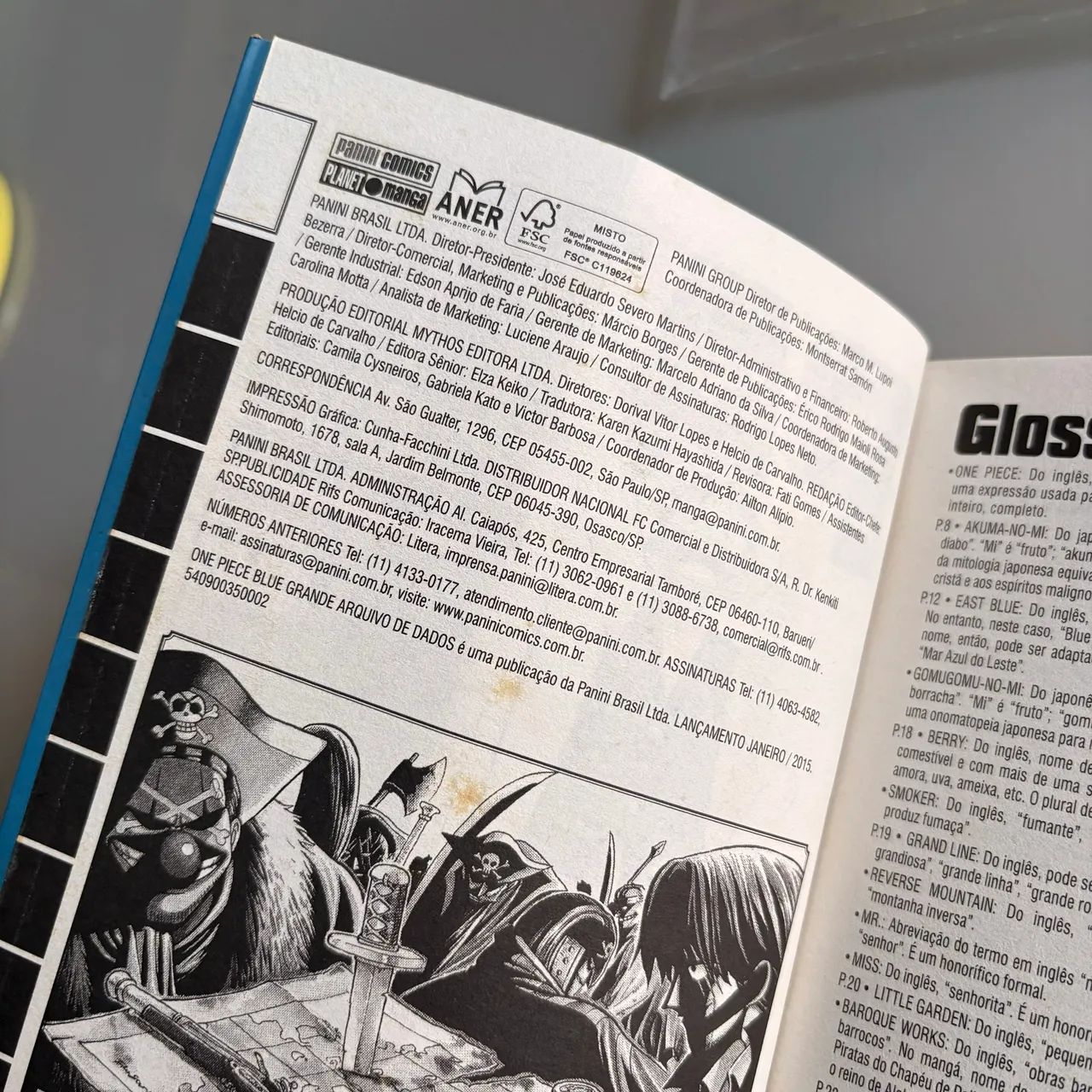 Raro Databook One Piece Blue 1ª edição: Grande Arquivo de Dados