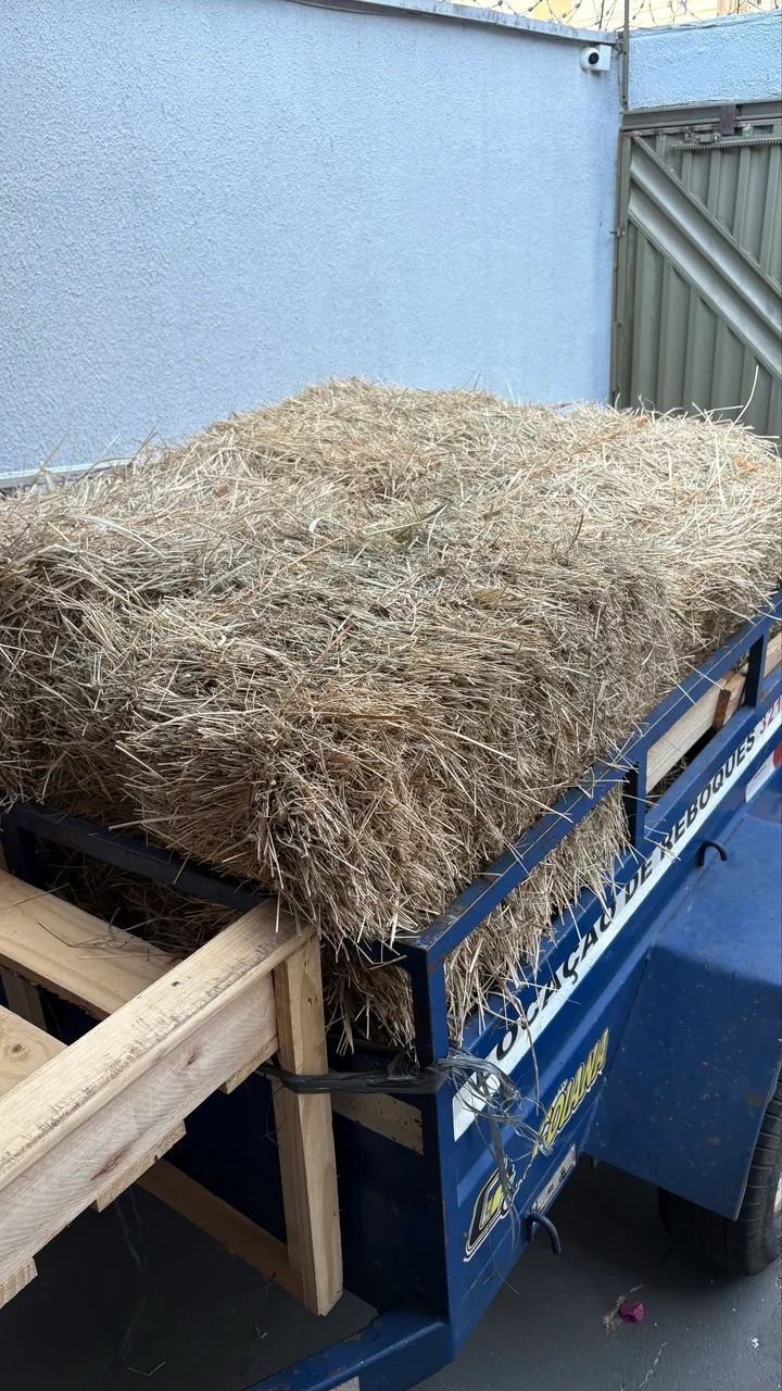 FARDO DE FENO DECORAÇÃO JUNINA