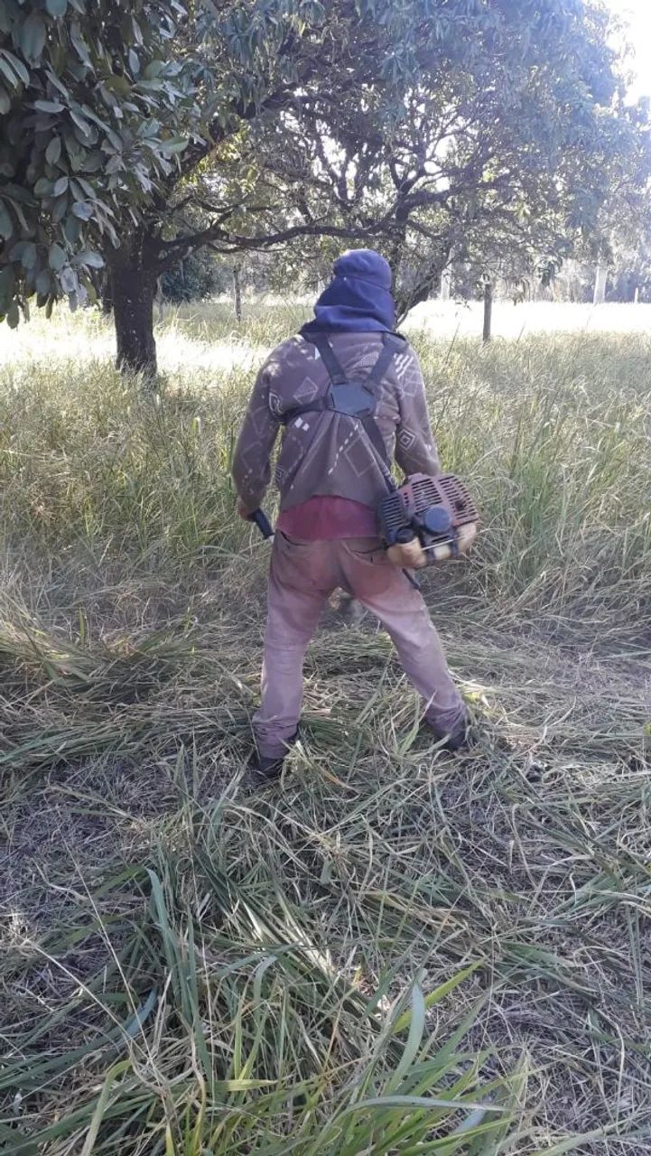 Roçagem e paisagismo  - Foto 2