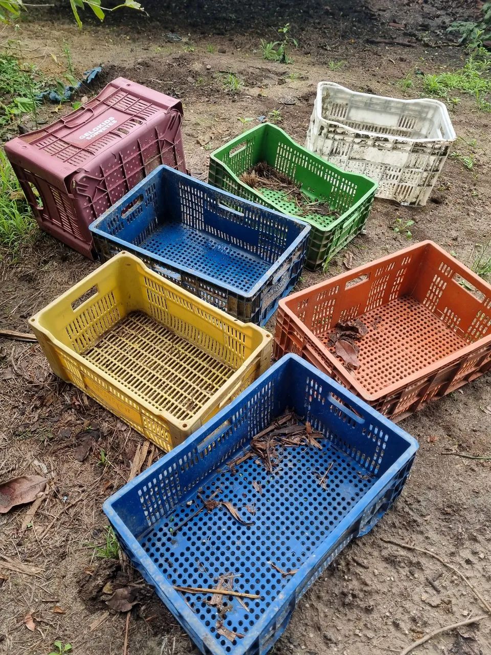 Cesta de.hortifluti - Foto 2