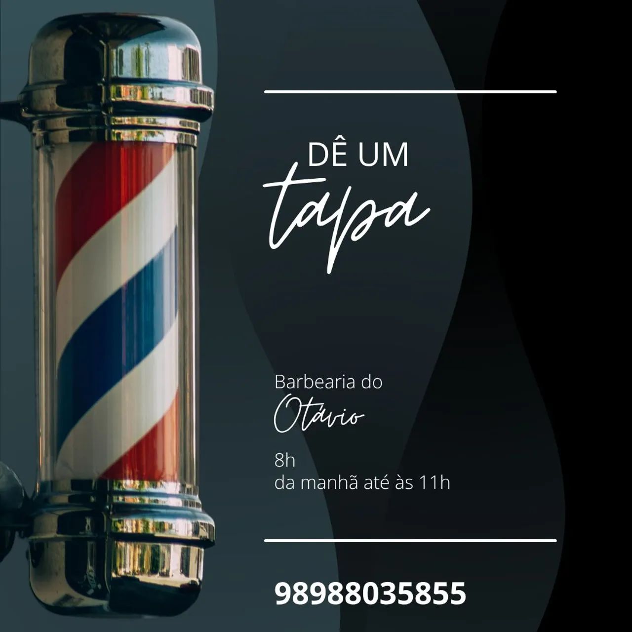 Cabeleireiro Otávio 