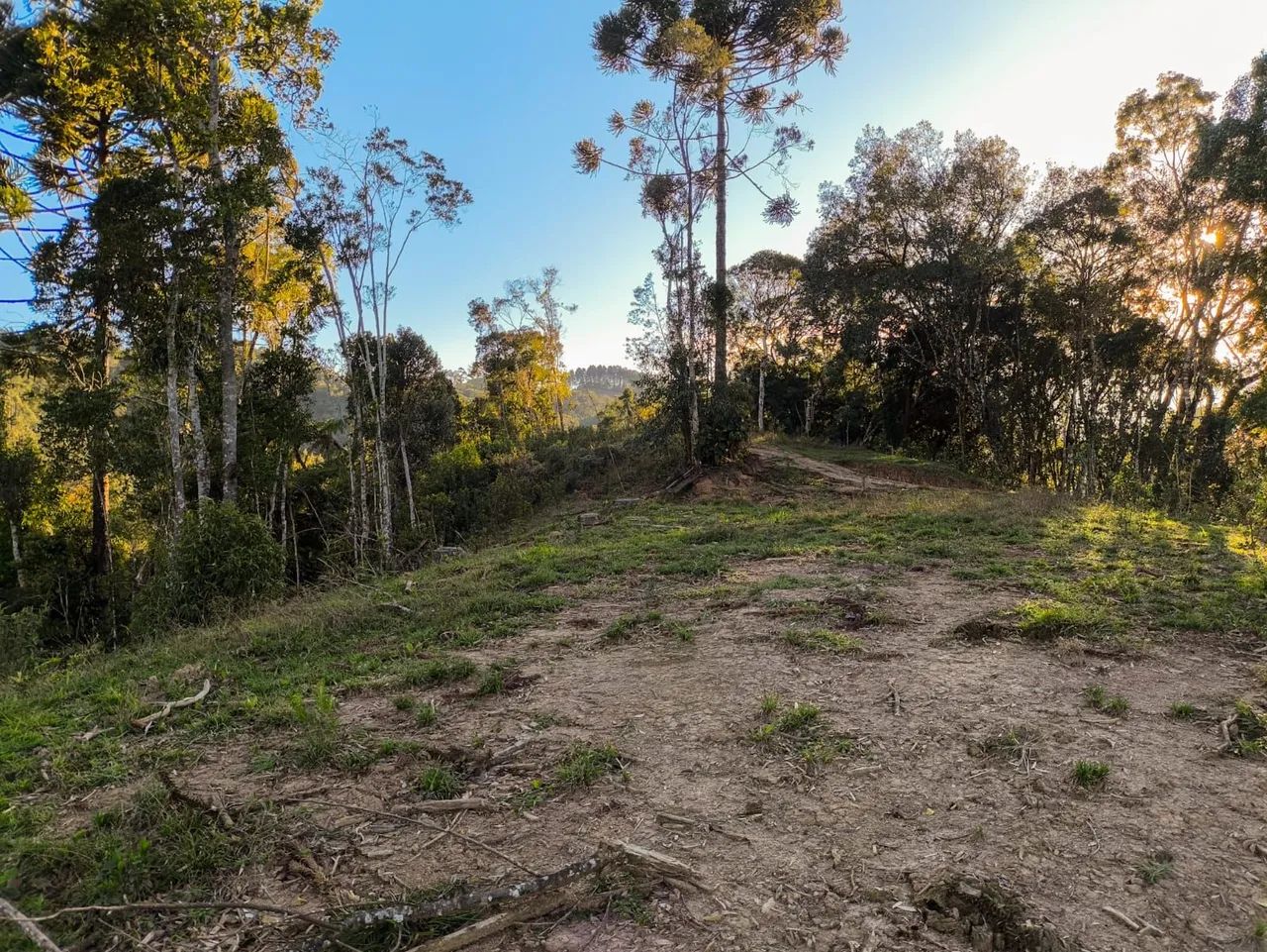 Terreno de 20.000m² em Anitápolis 