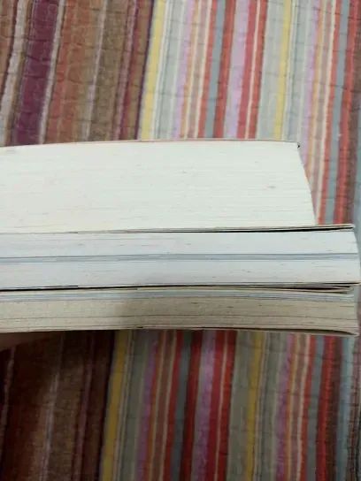 Livros: Andes, A Viagem de Théo, A Morada dos Deuses e Diário do Clima - Foto 2