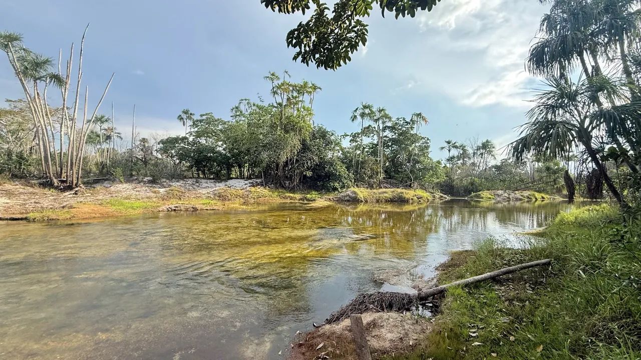 SÍTIO À VENDA EM ALTO ALEGRE - RR - Foto 5