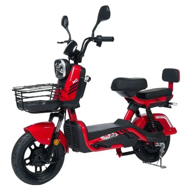 Scooter Elétrica 800W