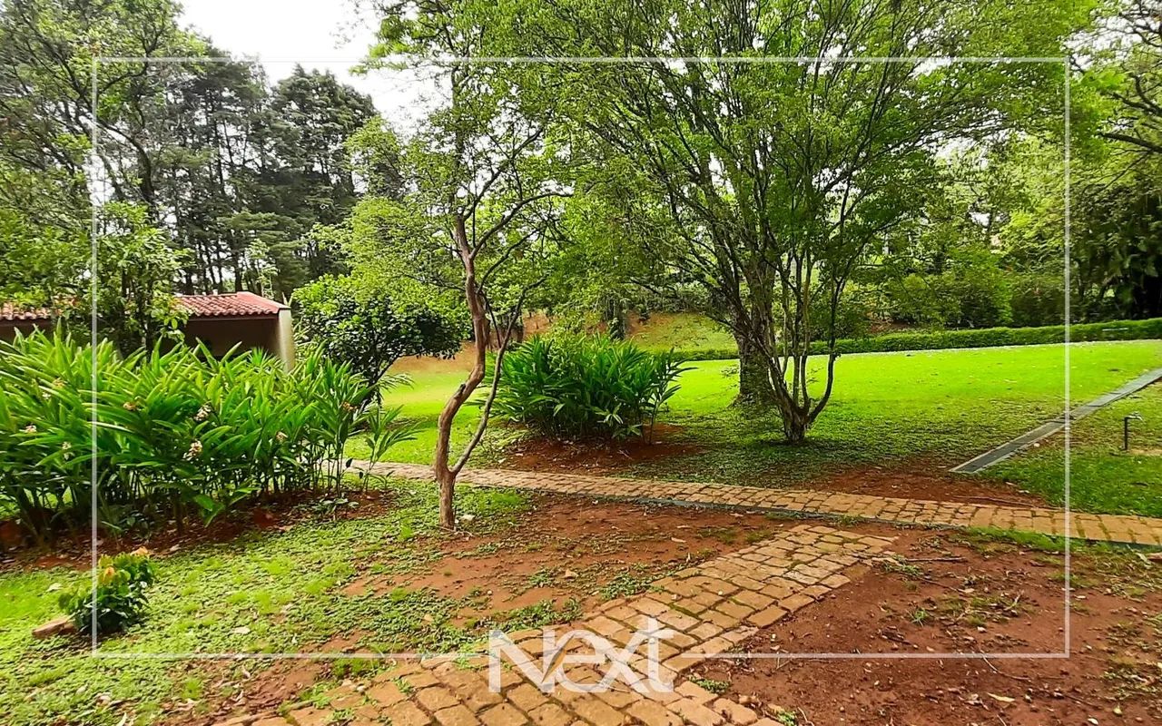 terreno - Sítios de Recreio Gramado - Campinas - Foto 4