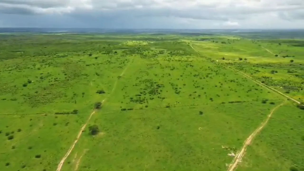Fazenda com 1.068 tarefas  próximo a Arapiraca-AL. - Foto 4
