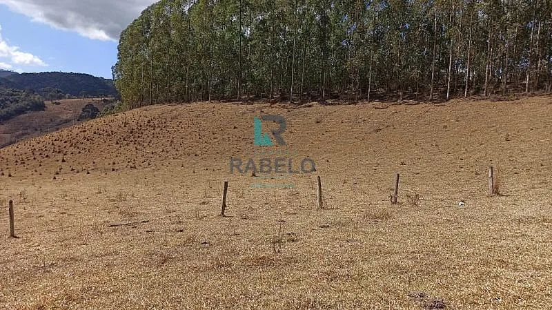SÍTIO COM EXCELENTE TOPOGRAFIA EM MARMELÓPOLIS-MG - Foto 5