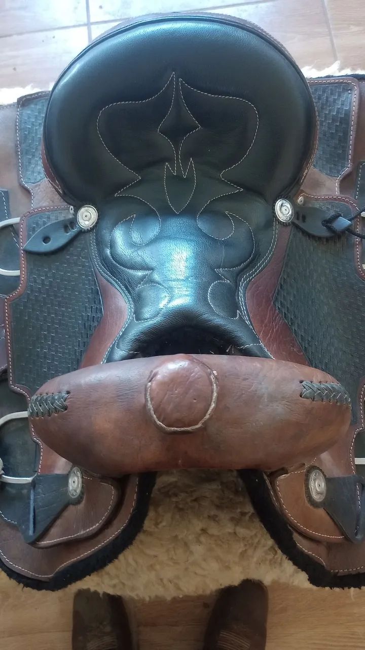 Sela americana (cavalos) - Foto 3